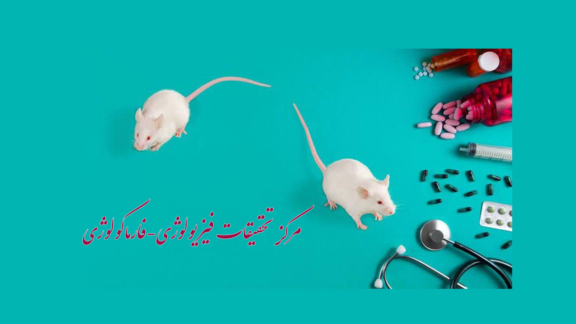 تصویر با نام مرکز