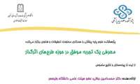 کارگاه معرفی یک تجربه موفق در حوزه طرح های اثرگذار